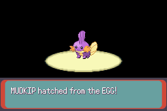 Hatching shiny egg