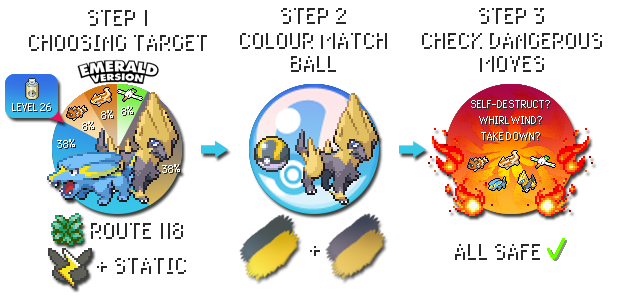 Steps for planning a hunt